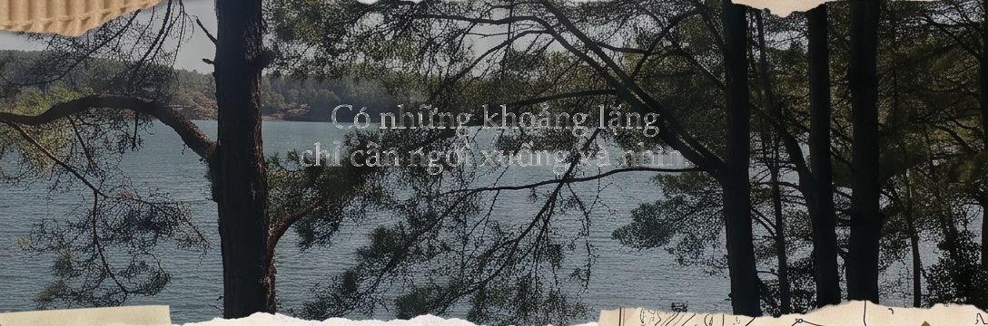 Những thân thông cao đứng bên bờ hồ, cành cây đan trên mặt nước xanh